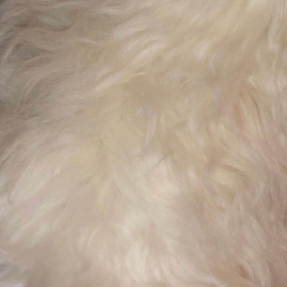 Meet your Posher, Celia